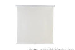 ekran-projekcyjny-avtek-wall-standard-175_3.png